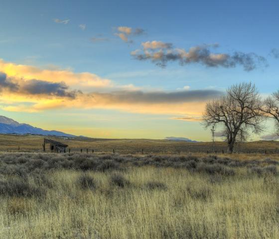 View of Pikes Peak from Bluestem Prairie Open Space