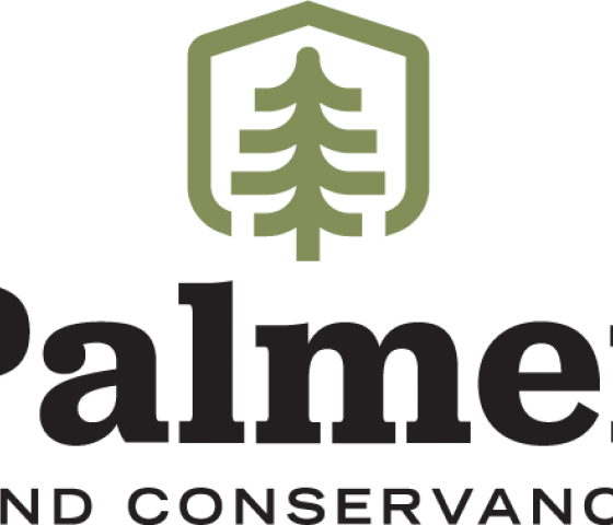 palmer logo