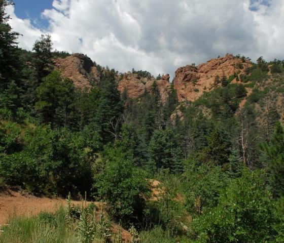 Hiking trail at Strawberry Hill