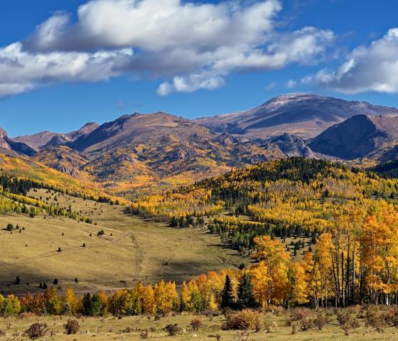 View of Pikes Peak in autumn