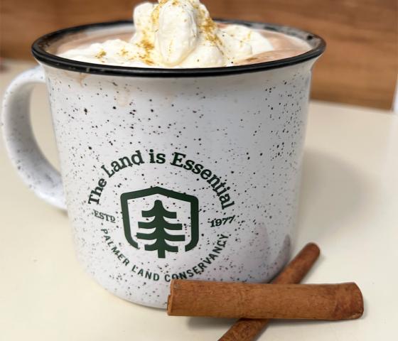 hot cocoa in a mug