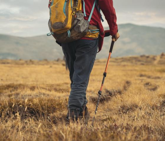 person walking through field