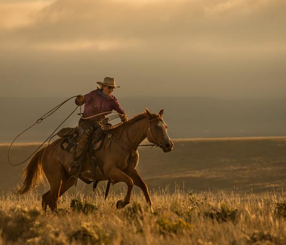 woman on horseback