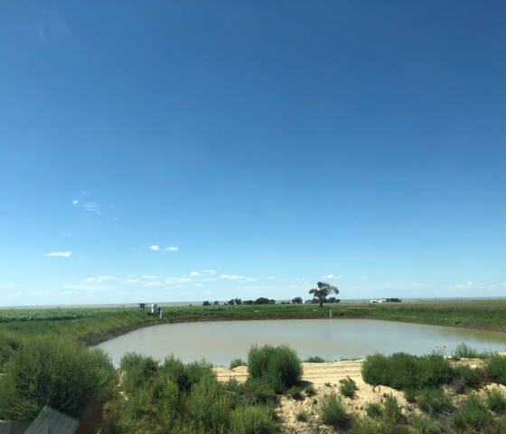 Landscape with green grass, a pond and clear sky at Markus Family Ranch in Crowley County.