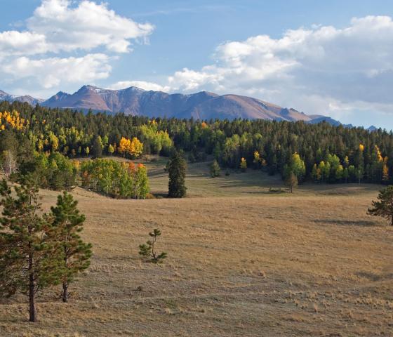 Pikes Peak and fall foliage