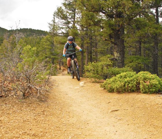 Moutain biker on a trail in Section 16