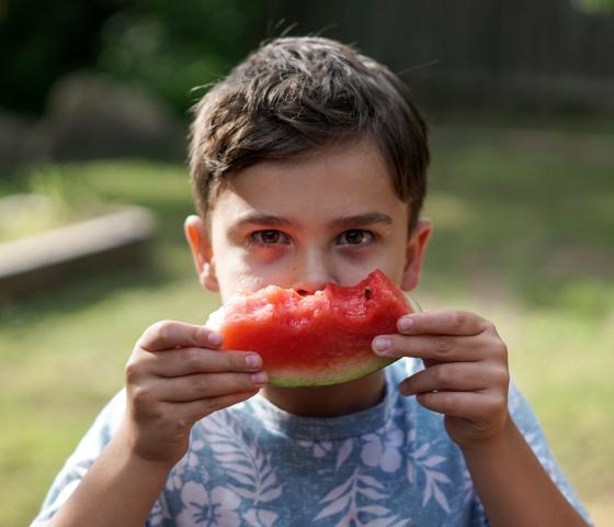 A kid holds up a partially eaten slice of watermelon in front of their face. 