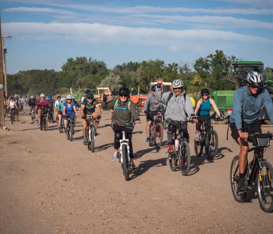 Large group of cyclists on a dirt farm road.