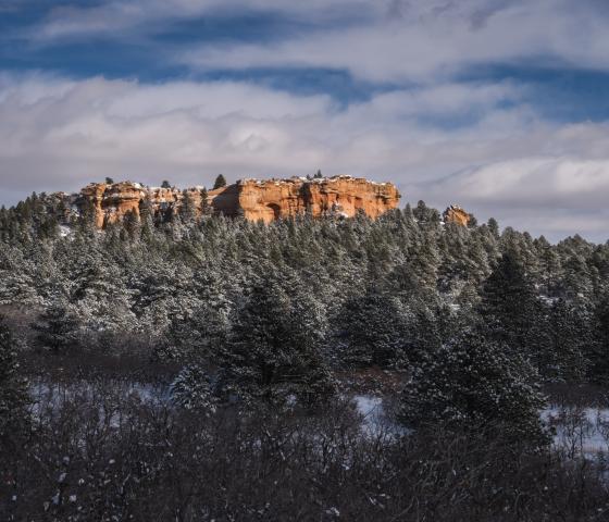 Sandstone butte sits in sunshine with snow covered evergreen in front.