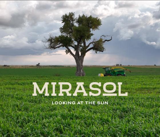 MIRASOL Looking Into the Sun