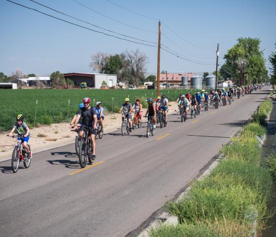 Large group of cyclists ride beside a farm
