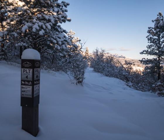 Trail sign post covered with snow in front of a snowy winter wonderland.
