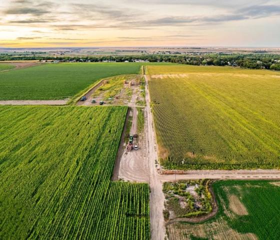Aerial photo of a verdant farm