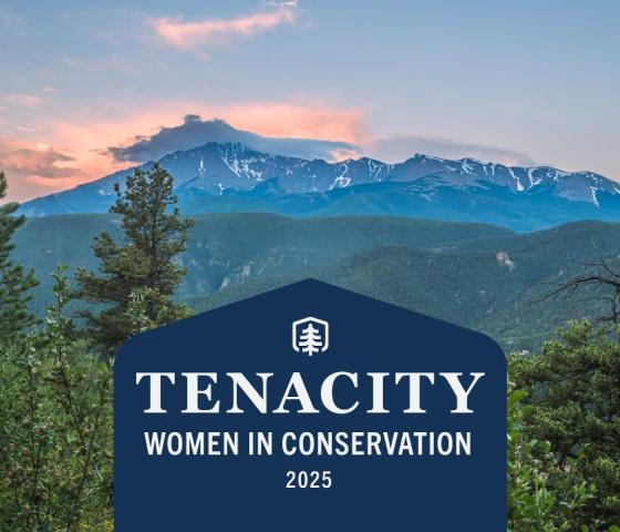 pink clouds lay behind a wide mountain with the words: TENACITY Women in Conservation