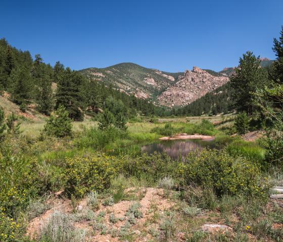 grassy meadow with a small pond with craggy hills in the background with a bright blue sky. 