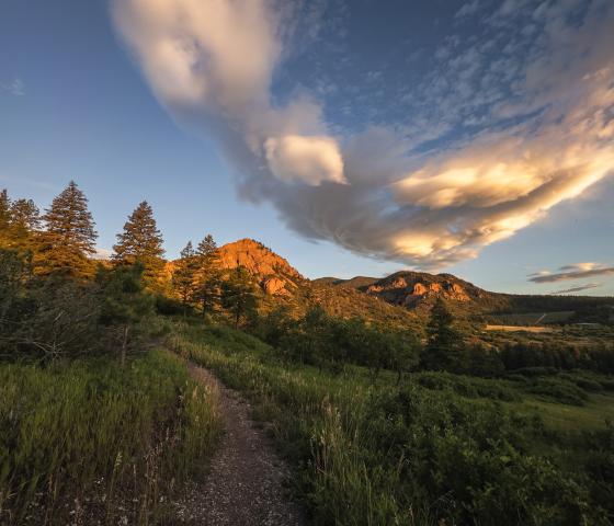 A craggy mountain catches the first light of the day with a trail bending across a grassy meadow in the foreground. 