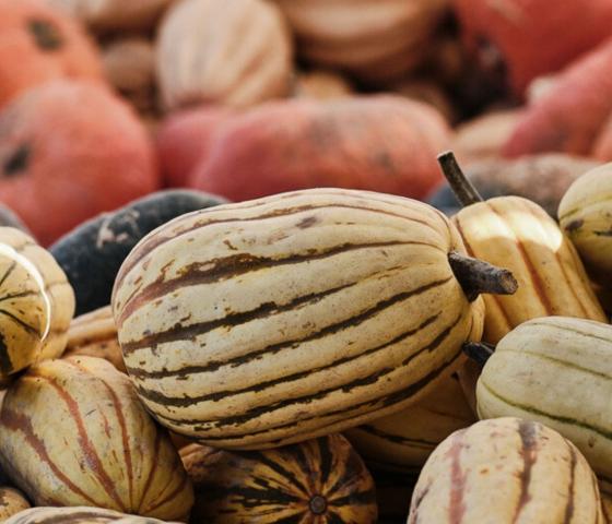 Produce from a farm stand