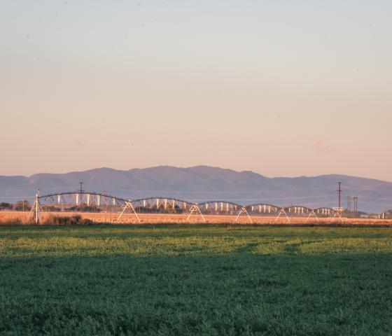 Irrigation pivot at sunrise