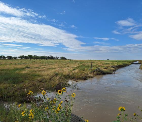 Irrigation ditch runs high with water with sun flowers in the foreground and fields and trees in the background.