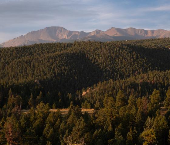 First rays of light illuminate the slopes of a tall broad peak with a grassy meadow and conifer ridges in the foreground.