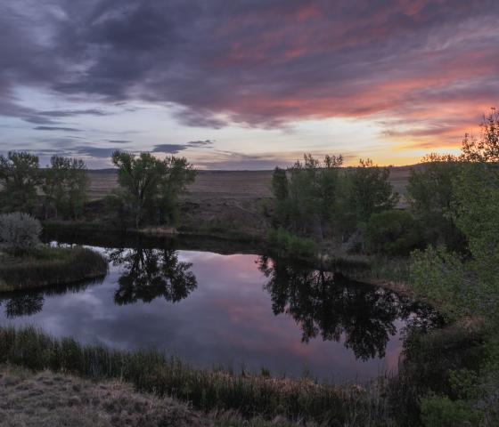 A pond with trees along the banks reflects the colors of the sunrise.