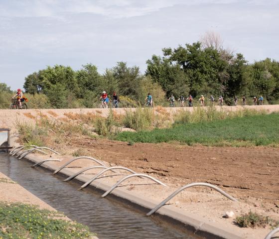 Group of cyclists ride past a farm irrigation ditch with siphons and trees and sunflowers in the distance.  