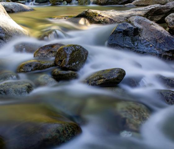 Rocky creek with smooth water flowing between rocks