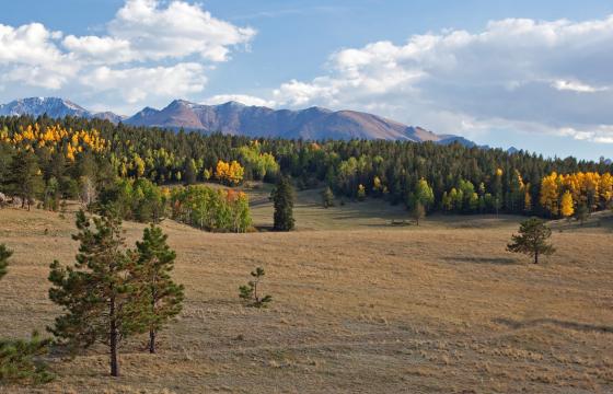 Pikes Peak and fall foliage