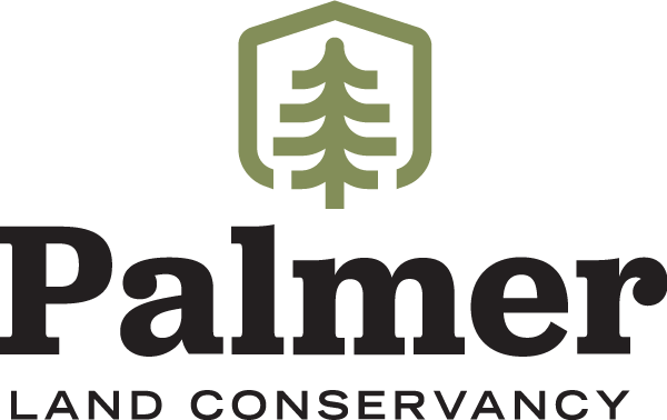 palmer logo
