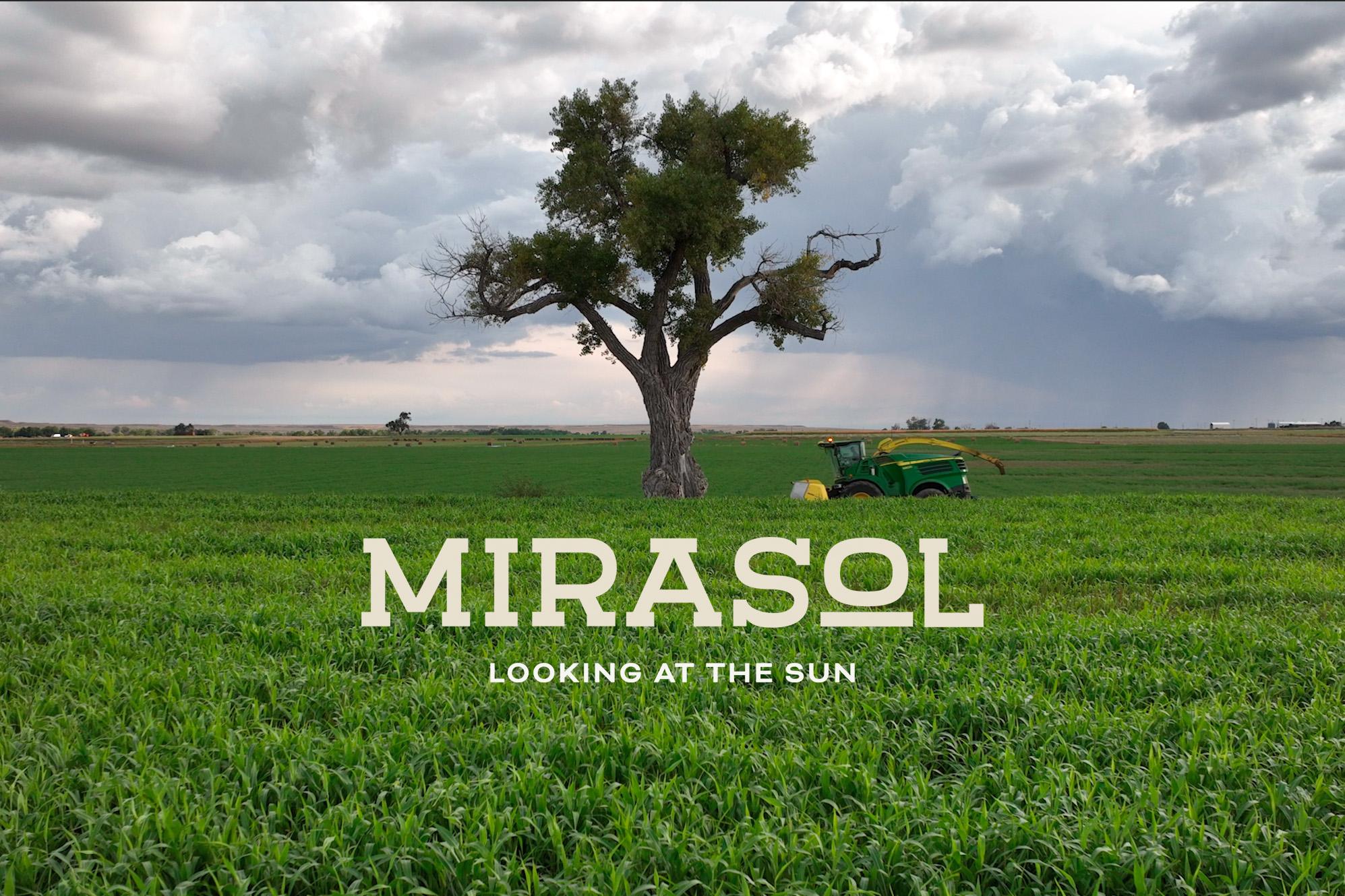 MIRASOL Looking Into the Sun