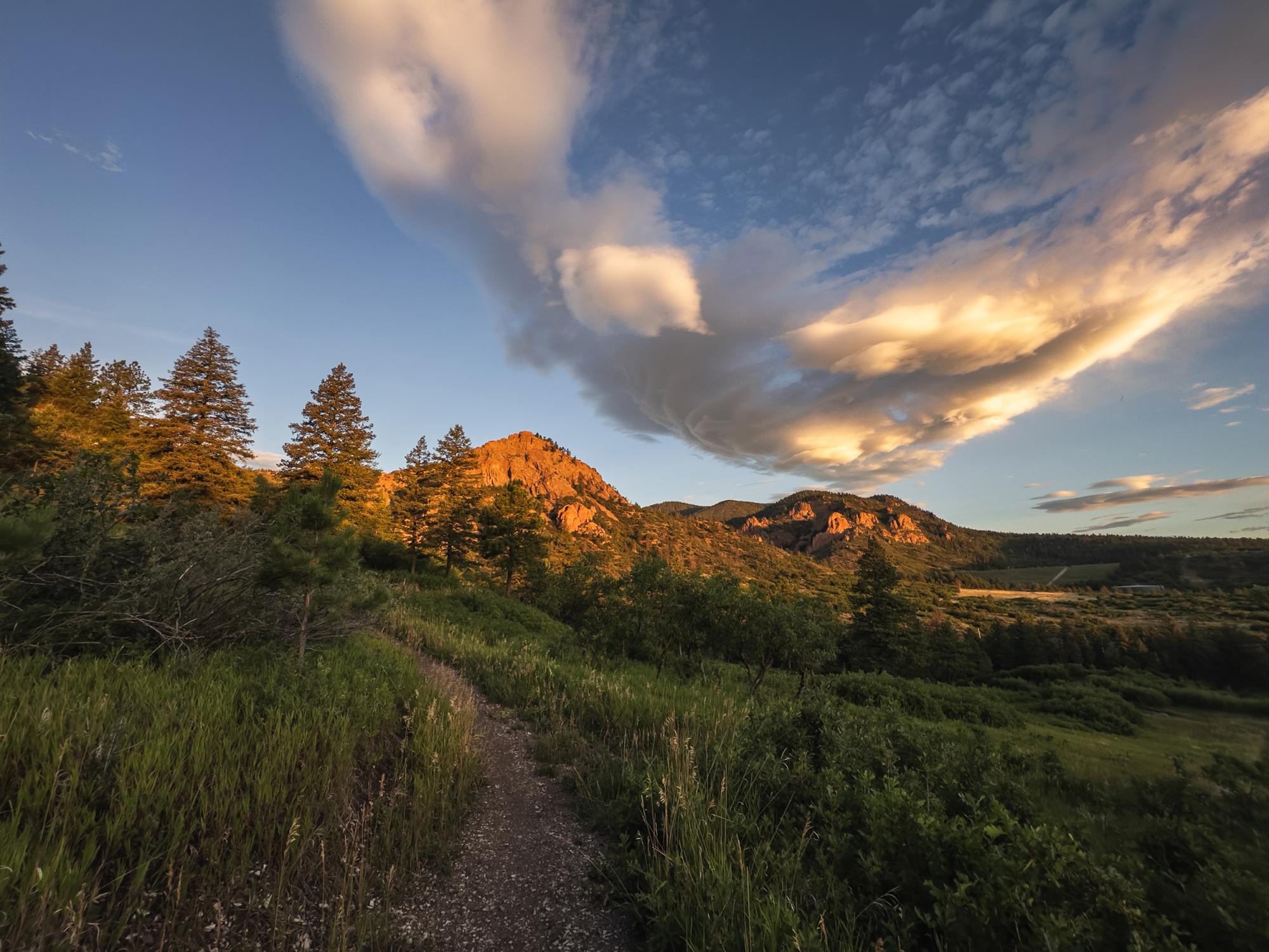 A craggy mountain catches the first light of the day with a trail bending across a grassy meadow in the foreground. 
