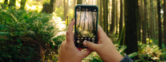 5 Nature Apps to Make You a Plant & Animal Expert | Palmer Land Conservancy