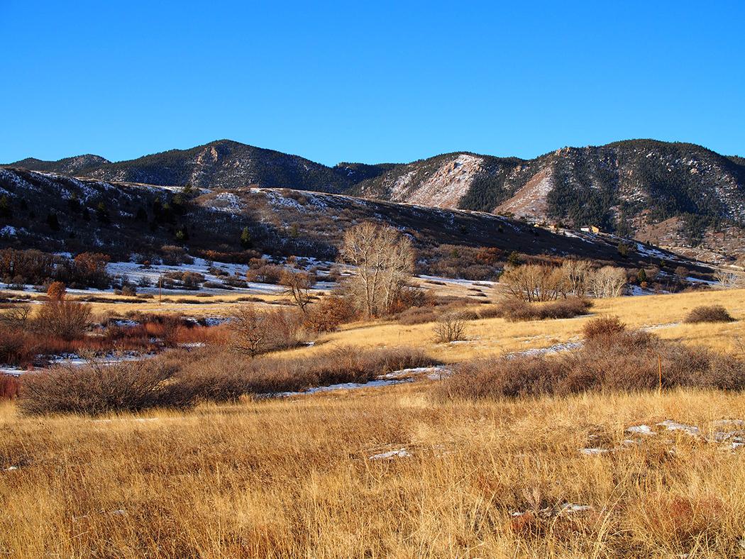 Image of grasses, trees and mountains