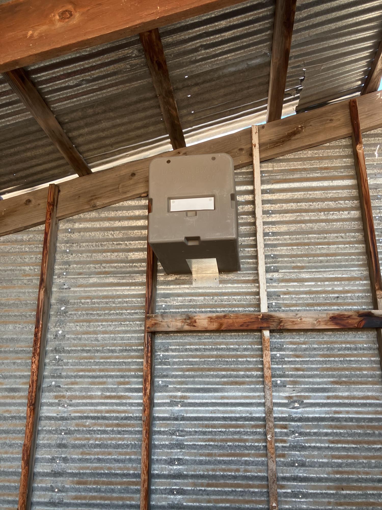 A barn owl box installed in on Palmer-protected ranch.