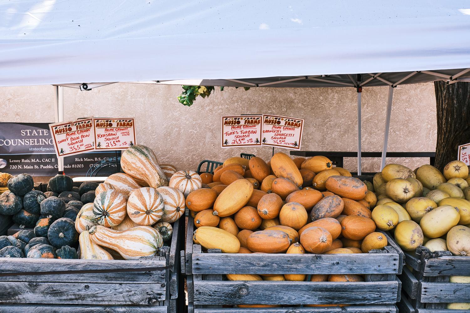 various squashes for sale