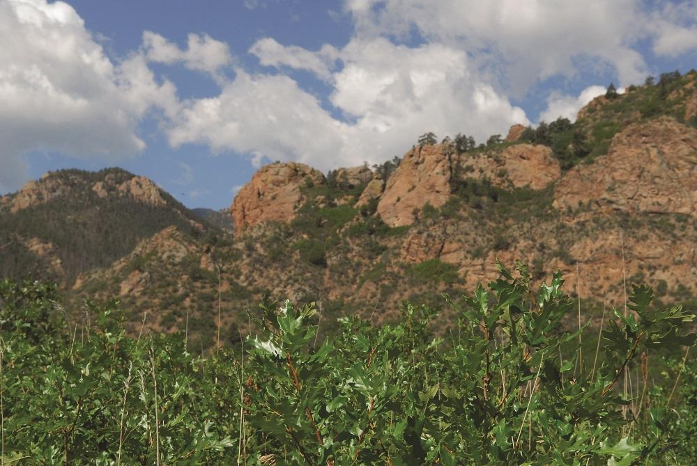 View of red rock formations at Stratton Open Space