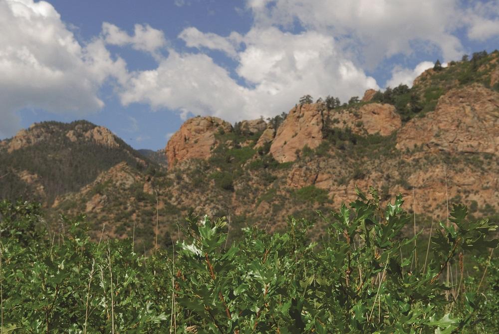 View of red rock formations at Stratton Open Space